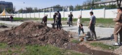 Сотворим красоту вместе