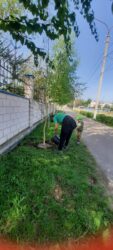 Сотворим красоту вместе