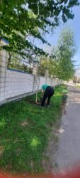 Сотворим красоту вместе