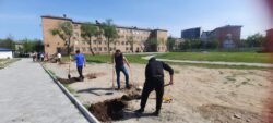 Сотворим красоту вместе