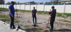 Сотворим красоту вместе